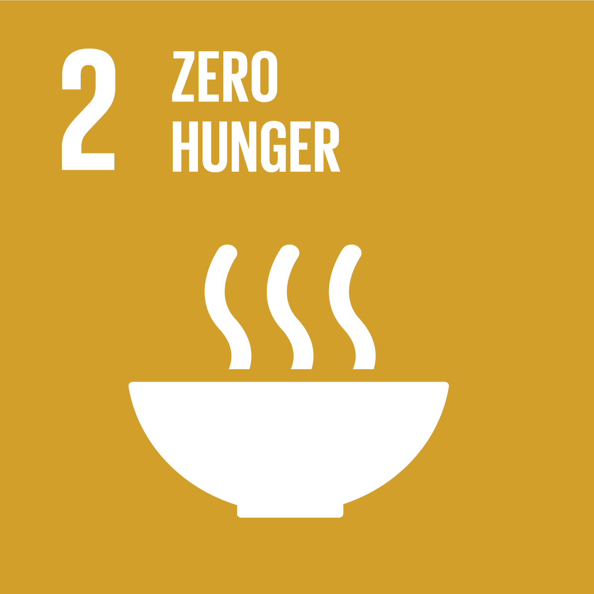 SDG icon